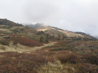 Couleurs d'automne dans la brume